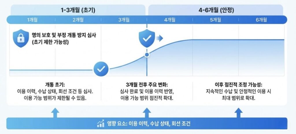 신규 개통 또는 번호이동 후 1개월부터 6개월까지 이용 제한이 점진적으로 완화되는 과정을 보여주는 기간별 안내 그래프